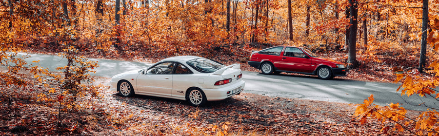 white and red car in autumn leaves