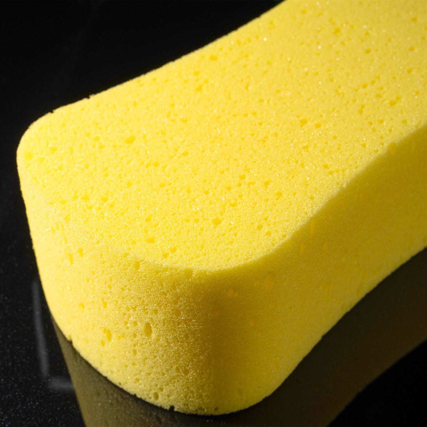 Close up of the jumbo sponge