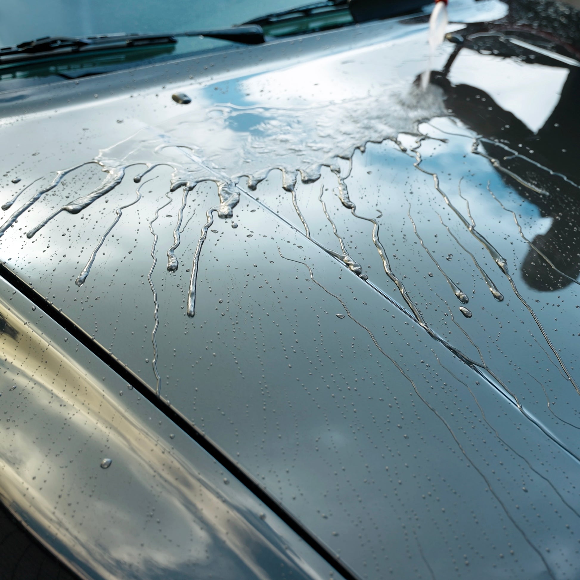 Car detailing. Liquid dripping on a gleaming grey bonnet after Turtle Wax treatment. Hydrophobic effect.