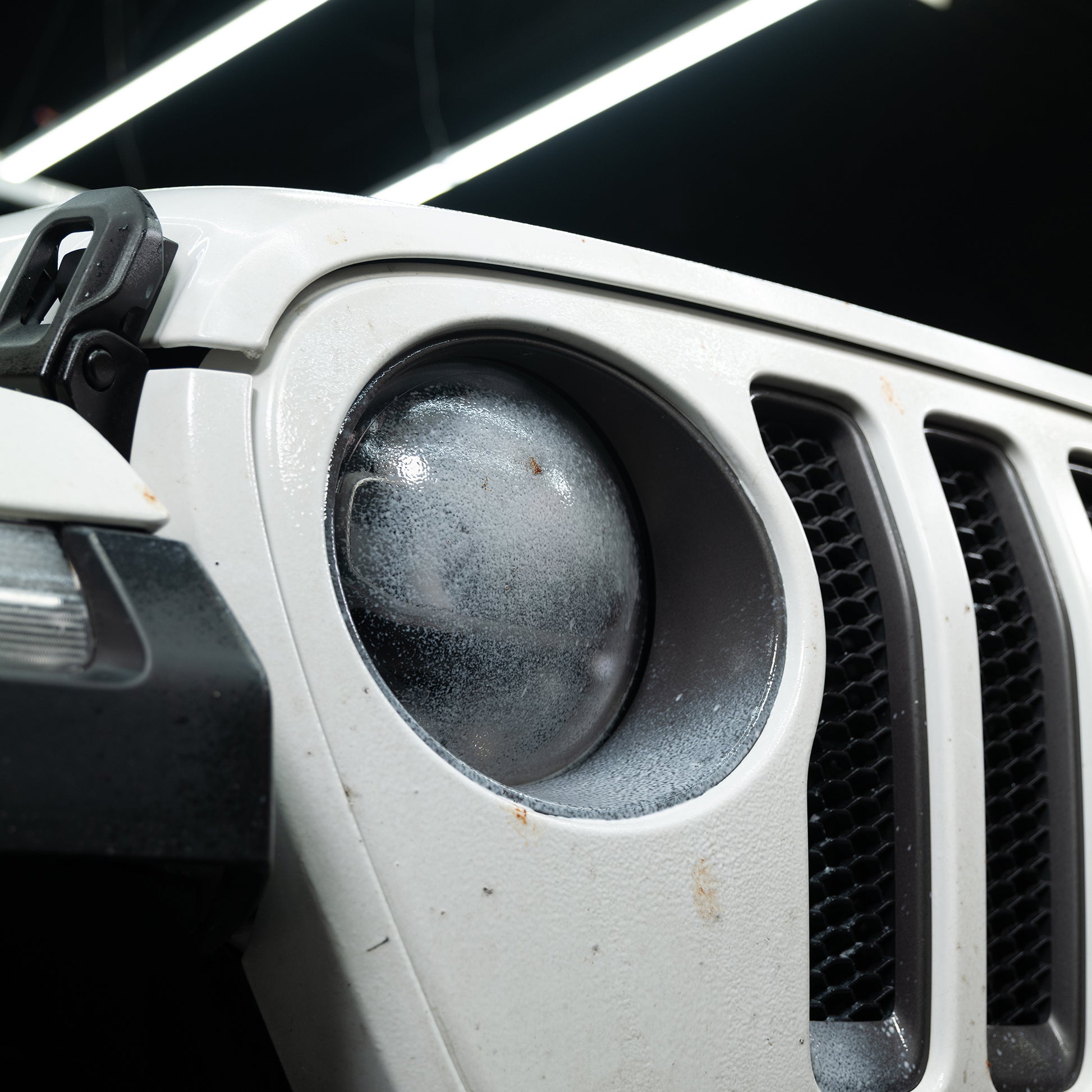 Close-up: White vehicle front, grille detail. Headlight covered in bug splats. Ideal for Turtle Wax Insect Remover advertising.