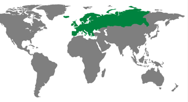 Europe region on an illustrative map